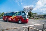Tramvia Napoli: Herculaneum Ruins and Vesuvius