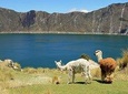 Cultural Tour Laguna Quilotoa: Hiking and Descent to the Lagoon all included
