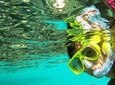 Paradise Taxi & Tours USVI-St Thomas- Airport Transfer Sapphire / Crystal Cove 