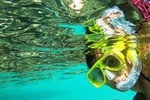 Paradise Taxi & Tours USVI-St Thomas- Airport Transfer Sapphire / Crystal Cove 