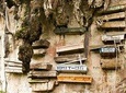 5 Days Sagada Banaue Batad PRIVATE TOUR (Max 6 Travellers) 