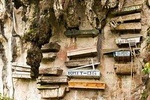 5 Days Sagada Banaue Batad PRIVATE TOUR (Max 6 Travellers) 