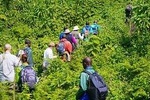 1 Day Group Tour, Mt Bisoke Hike on 28 March 2020