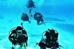  diving & snorkeling and island in hurghada 