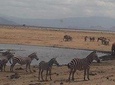 4 Days Tsavo East National Park, Amboseli & Taita Hills Wildlife Sanctuary