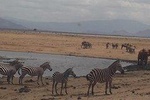 4 Days Tsavo East National Park, Amboseli & Taita Hills Wildlife Sanctuary
