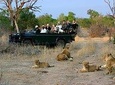 Cape Town - The Best of Aquila Safari Tour 
