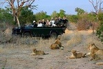 Cape Town - The Best of Aquila Safari Tour 