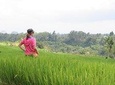 Ubud Rice Field Trekking - Exploring the rural hidden beauty of Bali