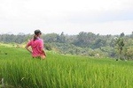 Ubud Rice Field Trekking - Exploring the rural hidden beauty of Bali
