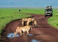 Serengeti national Park, ngorongoro conservation area 3 days two nights