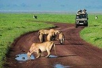 Serengeti national Park, ngorongoro conservation area 3 days two nights