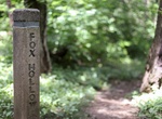 Hike Fox Hollow Trail, Shenandoah National Park, Virginia