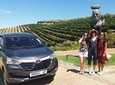 Cape Winelands Private Tour
