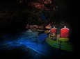 San Juan: El Yunque Rainforest and Bio Bay Combo Tour