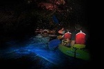 San Juan: El Yunque Rainforest and Bio Bay Combo Tour