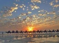 1 Hour Broome Sunset Camel Tour 