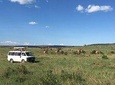 3 days Masai Mara 