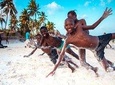 3 Day Mombasa Tour - City Tour, Watamu & Diani