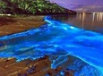Glistening Waters Private Tour 