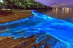 Glistening Waters Private Tour 