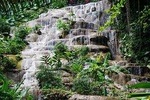 Konoko Falls and Garden Tour from Kingston