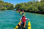 Water Bike Tour in La Parguera by Caribbean Chiliboats