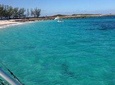 Half Day Snorkeling Tour in the Bahamas