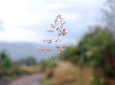 Chingaza National Park Hiking Private tour (8 Hrs.)