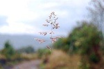 Chingaza National Park Hiking Private tour (8 Hrs.)