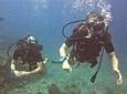 PADI Discover Scuba Dive Experience