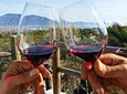 Wine Tasting - Tour and Tasting in Vesuvius Winemaker