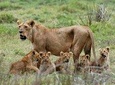 Saadani national park day trip