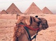 Private Tour to Pyramids and Egyptian Museum 