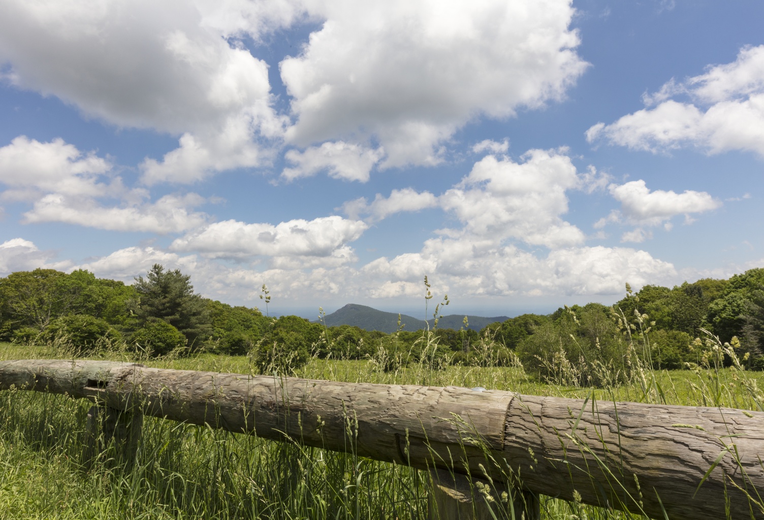 Old Rag View Overlook