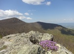 Visit Crescent Rock Overlook, Shenandoah National Park, Virginia