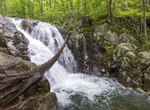 Hike to Rose River Falls, Shenandoah National Park, Virginia