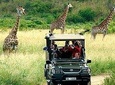 Cape Town , Aquila Safari Game Reserve Overnight Tour