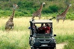 Cape Town , Aquila Safari Game Reserve Overnight Tour