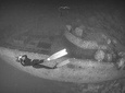 Wreck Snorkeling