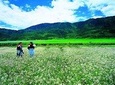 Private trekking tour to Wenhai lake from Lijiang half day service