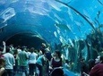 Grand aquarium in hurghada 