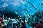  Grand aquarium in hurghada 