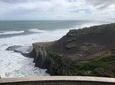 Muriwai Beach / Wine tour