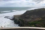 Muriwai Beach / Wine tour
