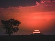  Day Trip Tour to Arusha National Park from Arusha town