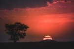  Day Trip Tour to Arusha National Park from Arusha town