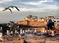 Essaouira fishing Town