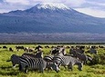 3 Days Amboseli & Tsavo East Luxury Safari