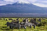 3 Days Amboseli & Tsavo East Luxury Safari